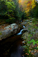 Devils Creek fall 2010-1110