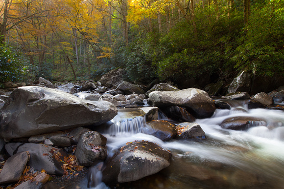 Great Smoky Mountains-7371