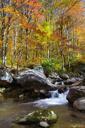 Great Smoky Mountains-7459