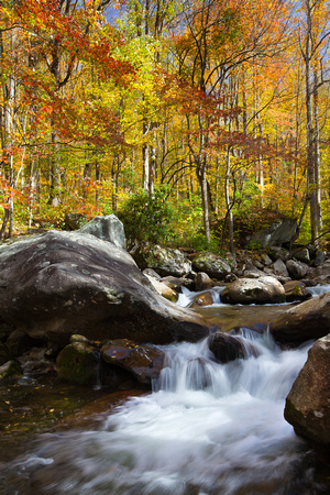 Great Smoky Mountains-7464