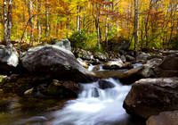 Great Smoky Mountains-7471