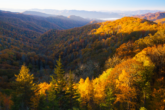 Great Smoky Mountains-7289
