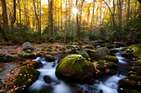 Great Smoky Mountains-7906