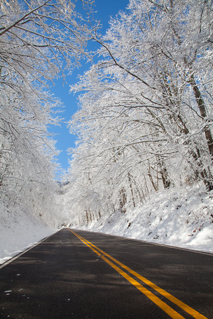 Roan Mountain Winter-8392