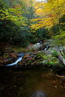 Devils Creek fall 2010-1104