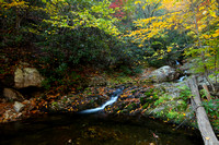Devils Creek fall 2010-1108
