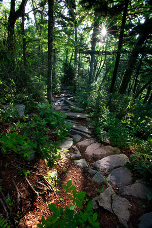 Rough Ridge Trail-5139