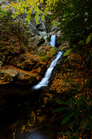 Devils Creek fall 2010-1176