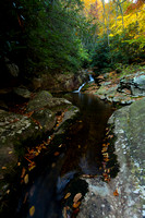 Devils Creek fall 2010-1121