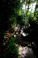 Rough Ridge Trail
