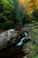 Devils Creek fall 2010-1115