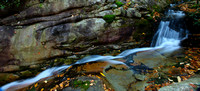 Devils Creek fall 2010-1126