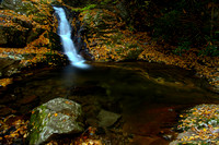 Devils Creek fall 2010-1163