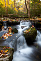 Great Smoky Mountains-7548