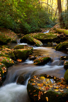Great Smoky Mountains-7997
