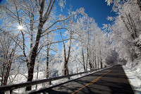 Roan Mountain Winter-8256