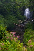 Waterfalls - Meigs Falls - Smokies-1513
