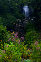 Waterfalls - Meigs Falls - Smokies-1505