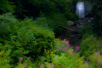 Waterfalls - Meigs Falls - Smokies-1527