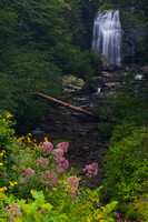 Waterfalls - Meigs Falls - Smokies-1510