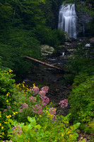 Waterfalls - Meigs Falls - Smokies-1519