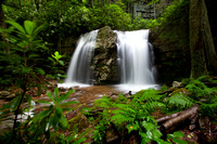 Gentry Falls-9484