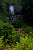Waterfalls - Meigs Falls - Smokies-1492