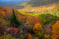 Grandfather Mountain-2312