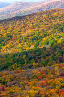 Grandfather Mountain-2251